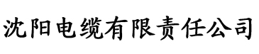 两个校花小雪小柔的故事电缆厂logo